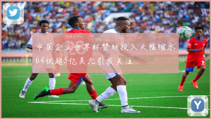 中国企业世界杯赞助投入大幅缩水64仅超5亿美元引发关注