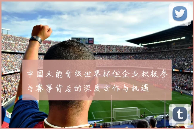 中国未能晋级世界杯但企业积极参与赛事背后的深度合作与机遇