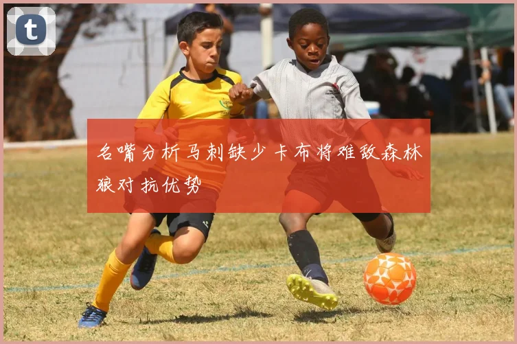 名嘴分析马刺缺少卡布将难敌森林狼对抗优势
