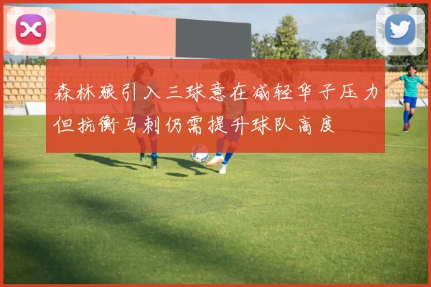 森林狼引入三球意在减轻华子压力但抗衡马刺仍需提升球队高度