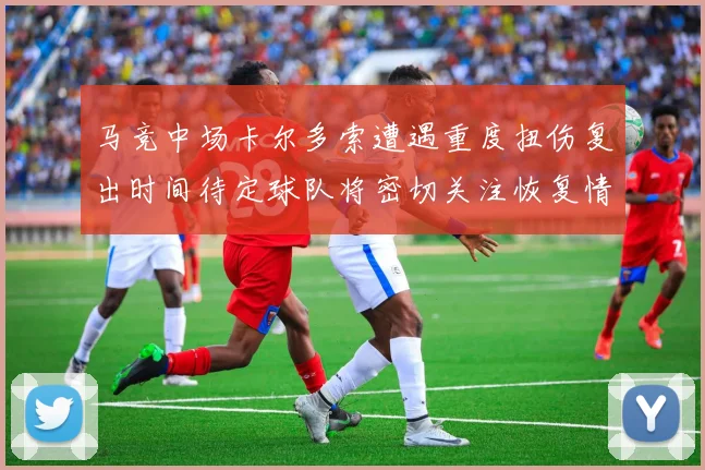 马竞中场卡尔多索遭遇重度扭伤复出时间待定球队将密切关注恢复情况